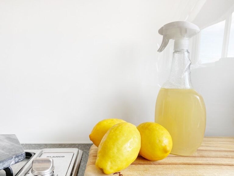 Photo Vermouth bottle